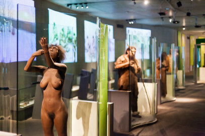 Dauerausstellung im Neanderthal Museum