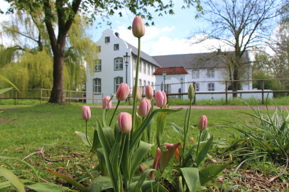 Die Dorenburg 