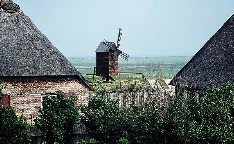 Bockmühle Museen Schleswig Holstein & Hamburg
