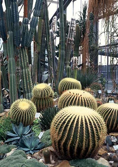 Botanischer Garten der ChristianAlbrechtsUniversität zu Kiel Museen