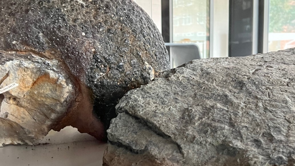 Geologisches und Mineralogisches Museum der Universität Kiel Museen