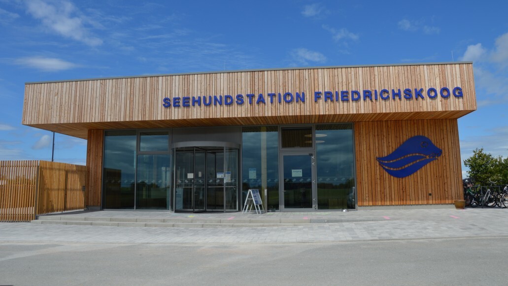 Seehundstation Friedrichskoog E V Museen Schleswig Holstein Hamburg