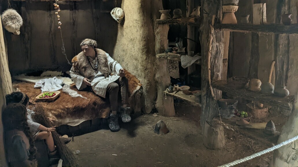 ArchäologischÖkologisches Zentrum Albersdorf gGmbH Museen Schleswig